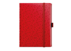 Diář denní Adam Vivella...