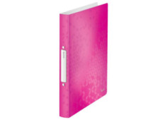 Pořadač 2-kroužkový Leitz...