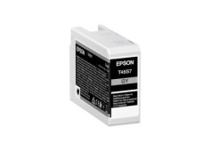 EPSON ink Singlepack Gray...
