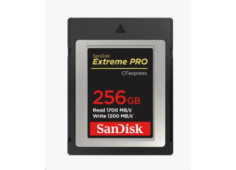 SanDisk Compact Flash 256GB...