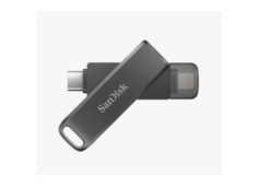 SanDisk Flash Disk 256GB...