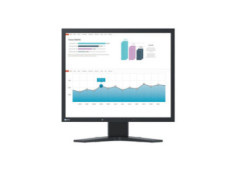 19" LED EIZO...