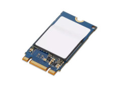 ThinkPad 1TB PCIe NVMe M.2...