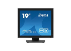 19" iiyama...