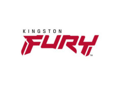 Kingston FURY...