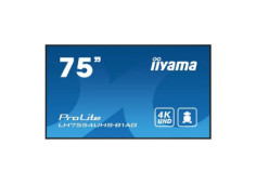 75" iiyama...