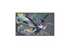 75" D-LED Philips...