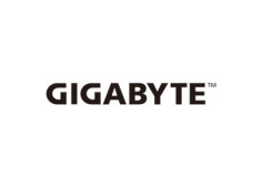 Gigabyte...