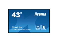 43" iiyama...