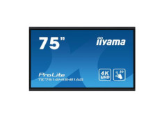 75" iiyama...
