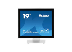 19" iiyama...