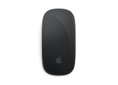 Magic Mouse - Black...