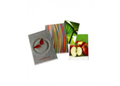 Záznamní kniha, A4, čistá,...