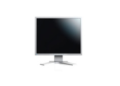 EIZO FlexScan S2133-GY -...