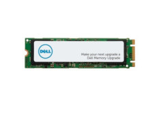 Dell/1TB/SSD/M.2 NVMe/1R