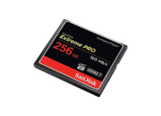 SanDisk Compact Flash 256GB...