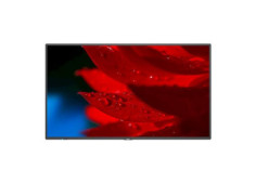 55" LED NEC...