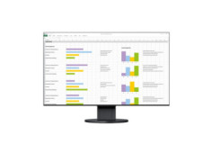 24" LED EIZO...