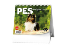 Kalendář stolní Ideál Pes,...