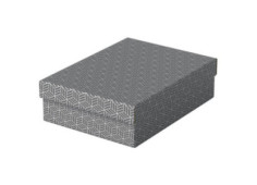Box úložný Esselte Home...
