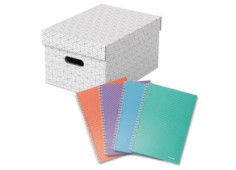 Box úložný Esselte Home...