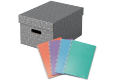 Box úložný Esselte Home...