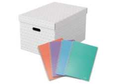 Box úložný Esselte Home...